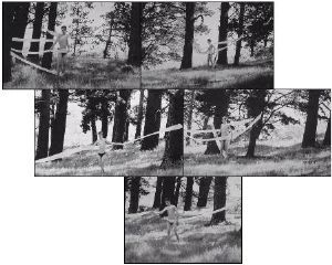 "Transmutative Scape"