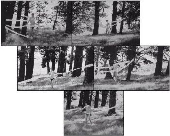 "Transmutative Scape"