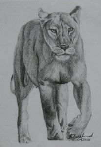 "Lioness"