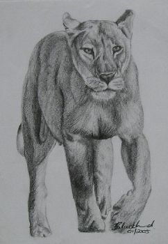 "Lioness"