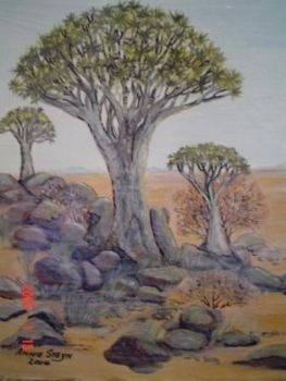 "Kokerboomwoud Namibia"