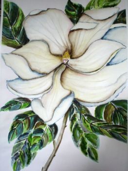 "Magnolia 5"