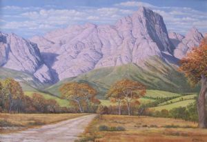 "Stellenbosch Mountain Scenery"