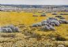 "Spring Western Cape"