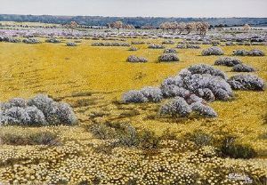 "Spring Western Cape"