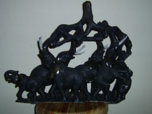 "Elephant family"