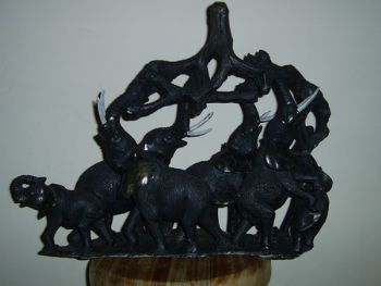 "Elephant family"