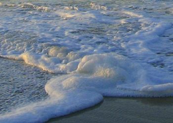 "Sea foam"