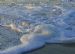 Sea foam