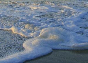 "Sea foam"