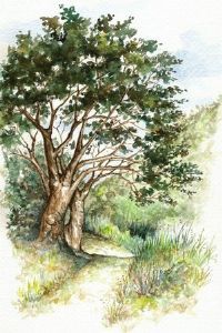"Footpath 1"