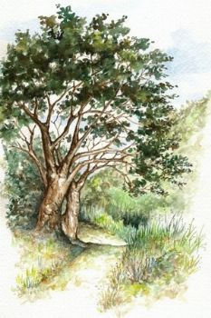 "Footpath 1"