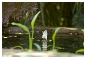 "Faerie Fountain"