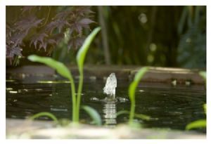 "Faerie Fountain"