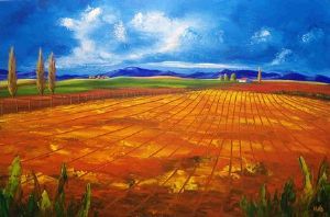 "Ploughed lands in the Overberg"