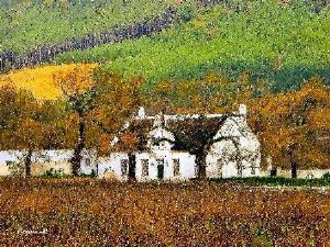 "Franschoek"