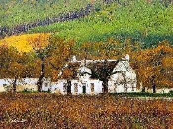"Franschoek"