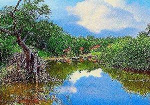 "Kruger National Park"