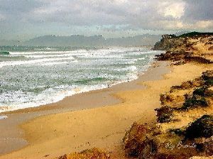 "Soft Sands"