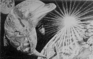 "Dolphin Shamanics"