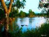 "Vaal River"