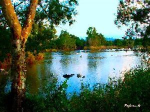 "Vaal River"