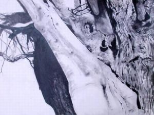 "Jackalberry Okavongo"