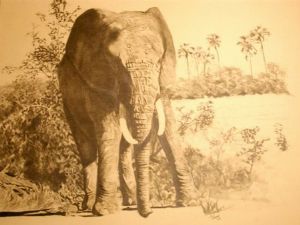 "Elephantback encounter"