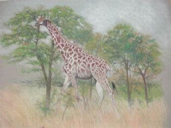 "Ship of the Savannah"