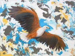 "African Fish Eagle"