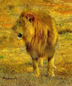 "Hunting Too"