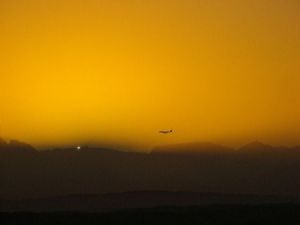 "Early Flight"