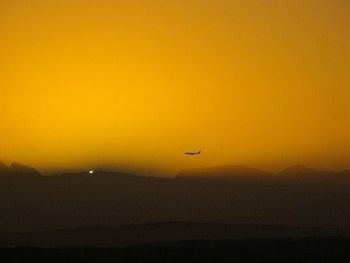 "Early Flight"