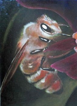 "Bee 3"