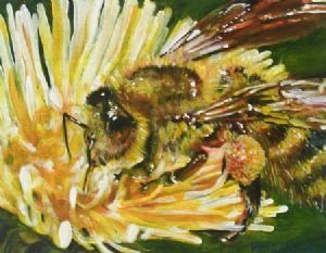 "Bee 1"