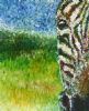 "Zebra Face"
