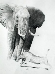 "Confrontation at the waterhole"