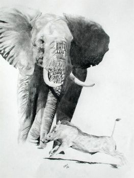 "Confrontation at the waterhole"