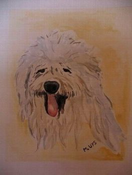 "My Maltese Dot"