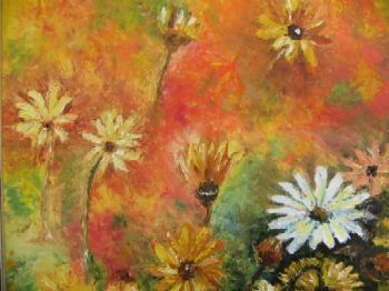 "Namaqualand Daisies"