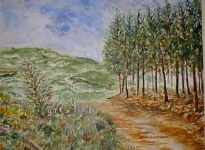 "Hogsback Summer"