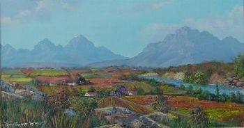 "Cape Vineyards"