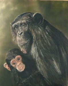 "Chimp and Baby"