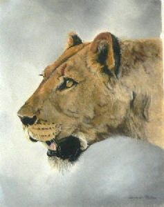"Lioness #1"