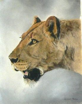 "Lioness #1"