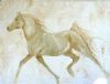 "Sienna Horse Running"