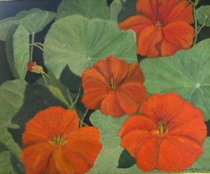 "Nasturtiums "