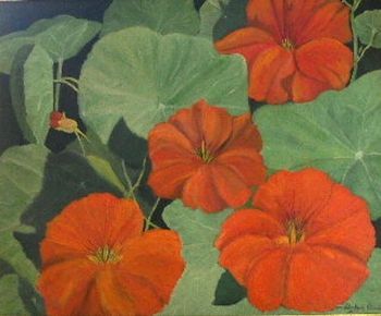 "Nasturtiums "