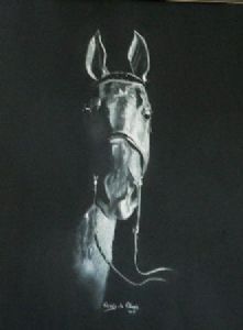 "Saddlebred Portrait"