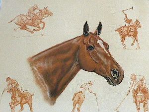 "Polo Pony Collage"
